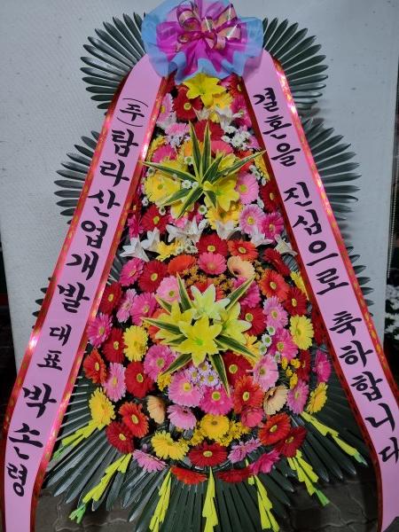 업로드 이미지