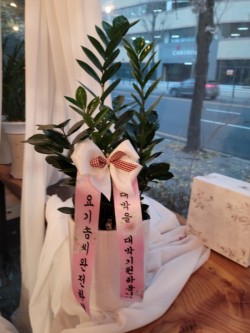배송사진