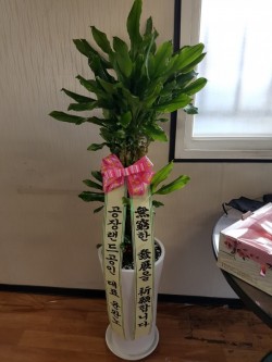 배송사진