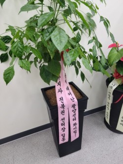 배송사진