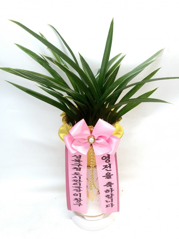 업로드 이미지