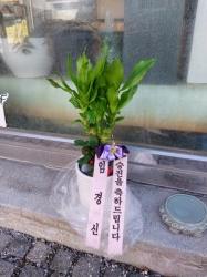 배송사진