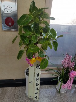 배송사진