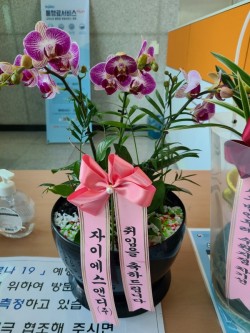 배송사진