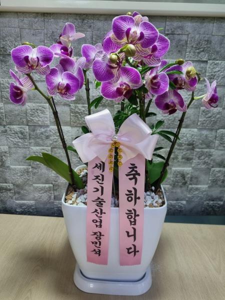 업로드 이미지