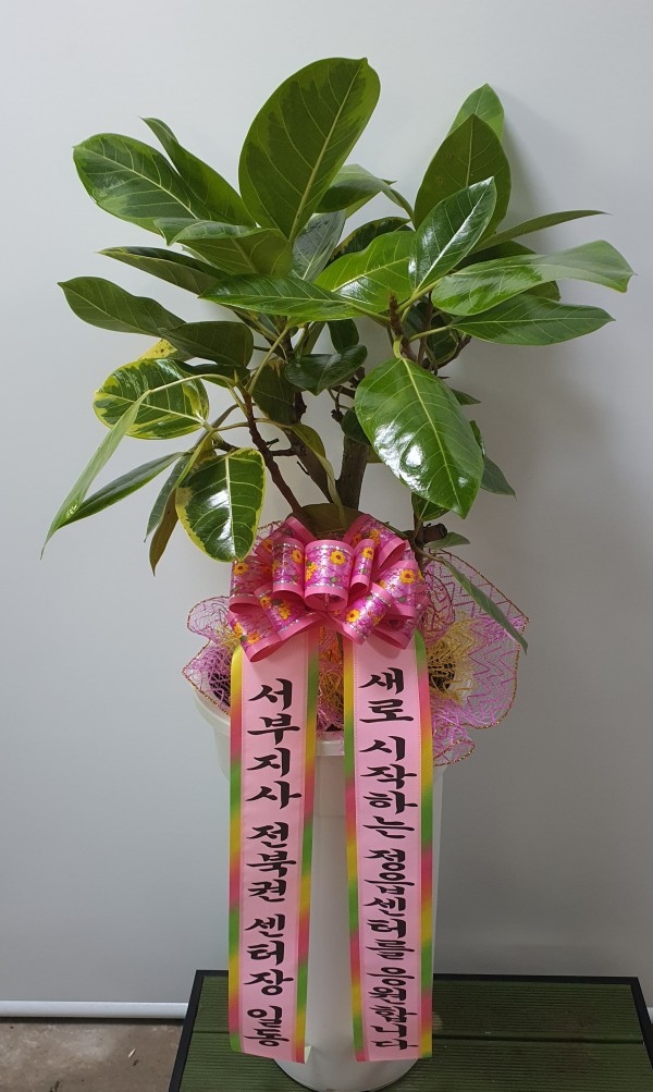 업로드 이미지