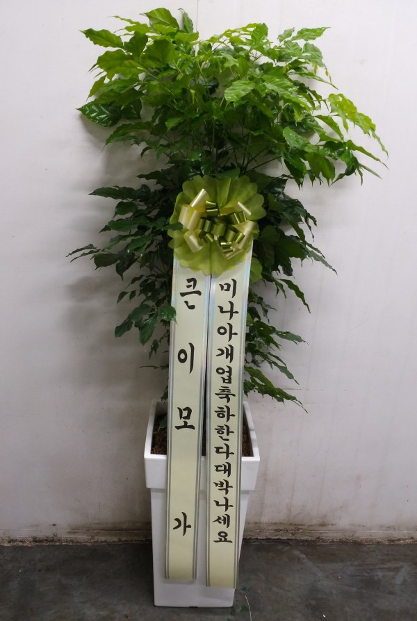 업로드 이미지