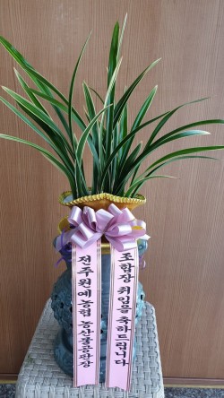 배송사진