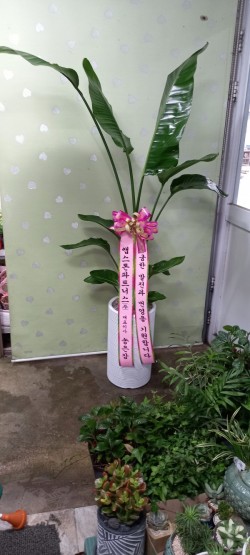 배송사진