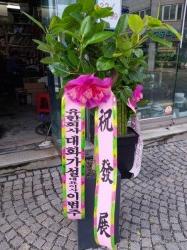 배송사진