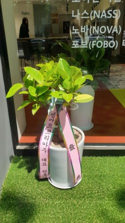 배송사진
