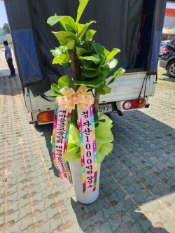 배송사진