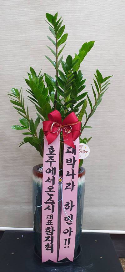 배송사진
