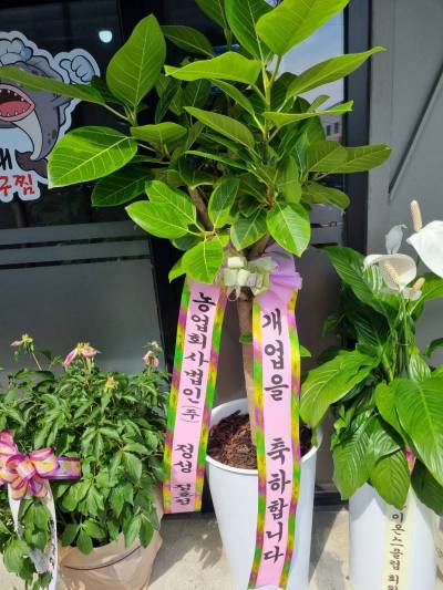 배송사진