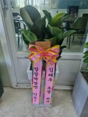 배송사진