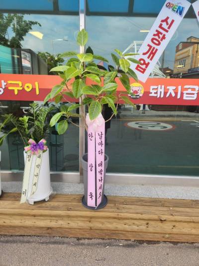 배송사진
