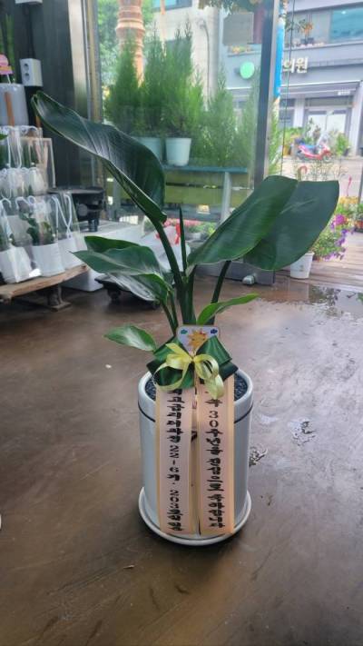 배송사진