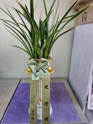 배송사진