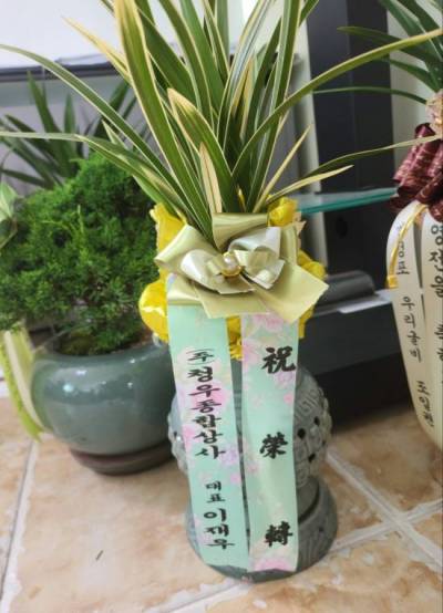 배송사진