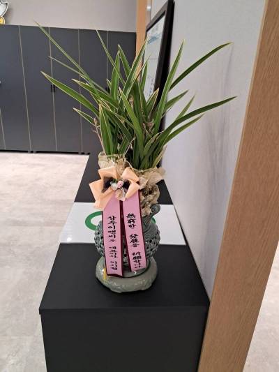 배송사진