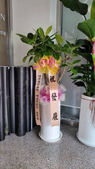 배송사진