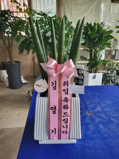 배송사진