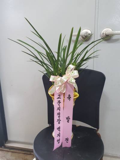 배송사진