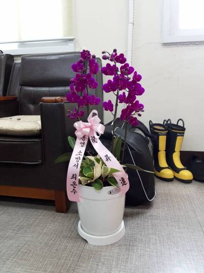 배송사진