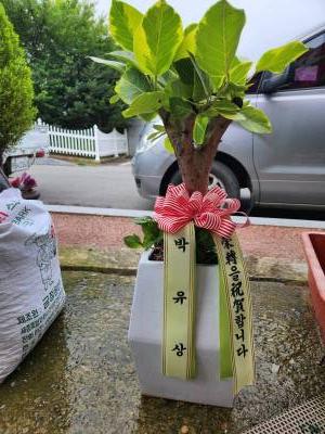 배송사진