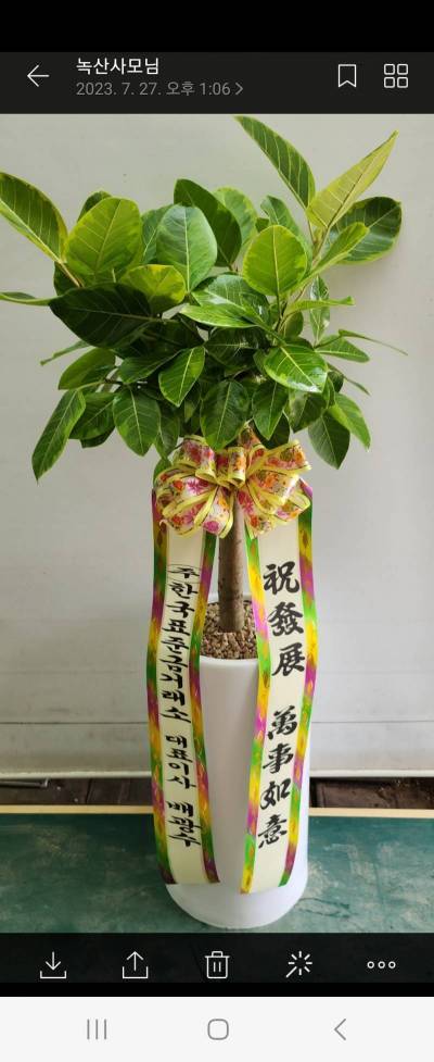 배송사진