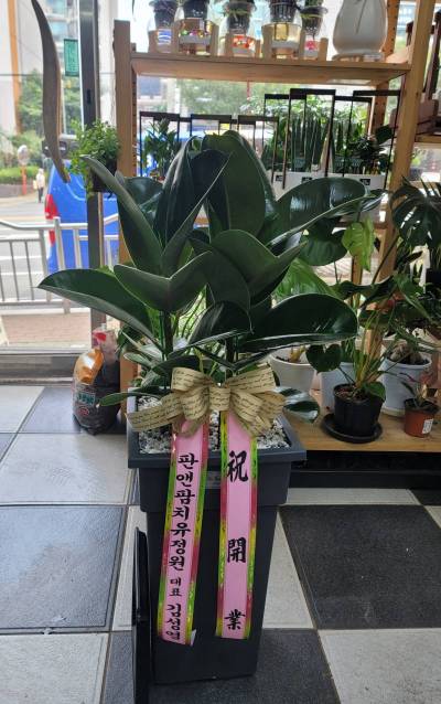 배송사진