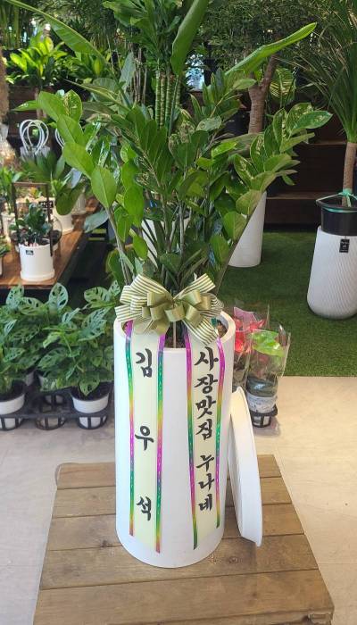 배송사진