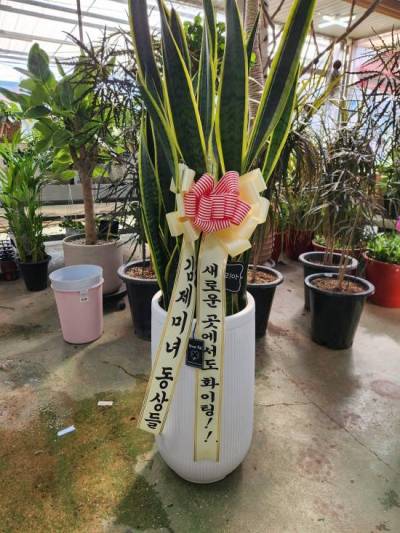 배송사진