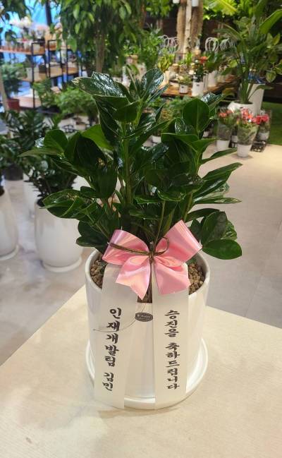 배송사진