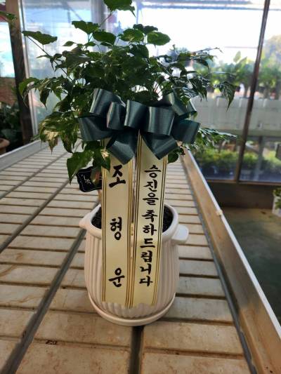 배송사진