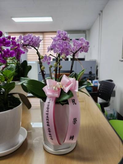 배송사진