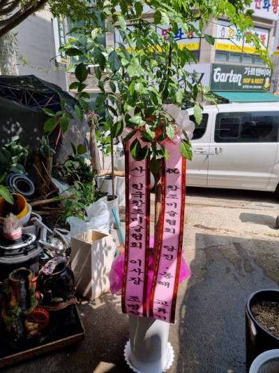 배송사진