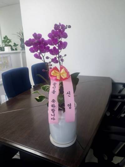 배송사진
