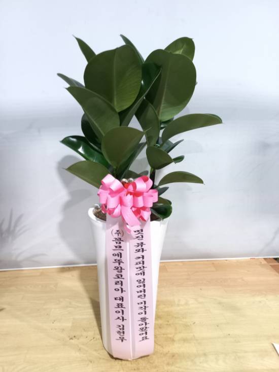 업로드 이미지
