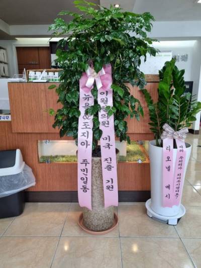 배송사진