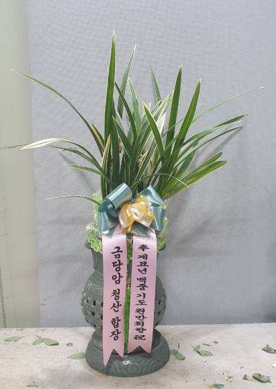 배송사진