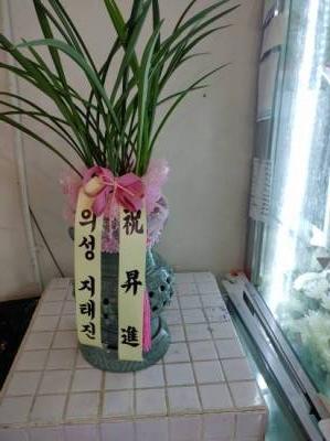배송사진