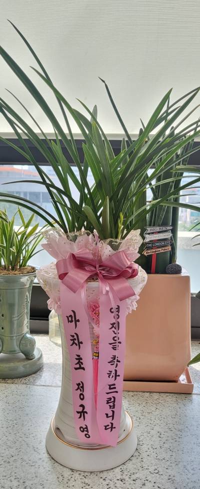배송사진