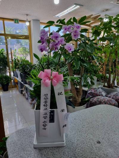 배송사진