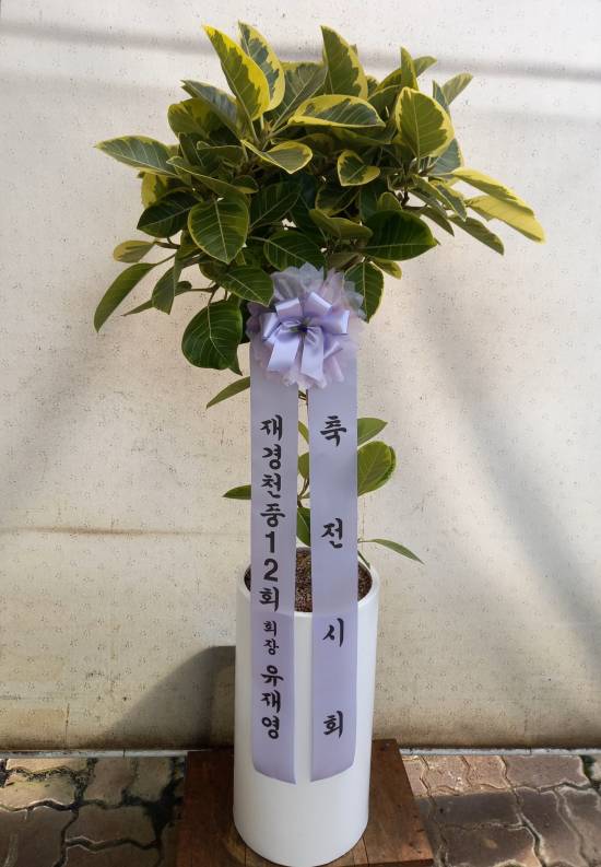 업로드 이미지