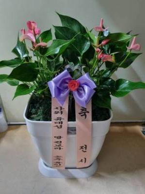 배송사진