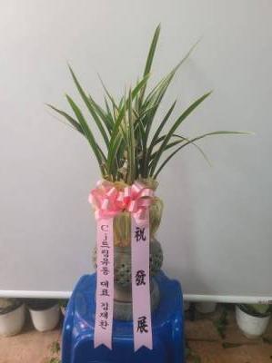 배송사진