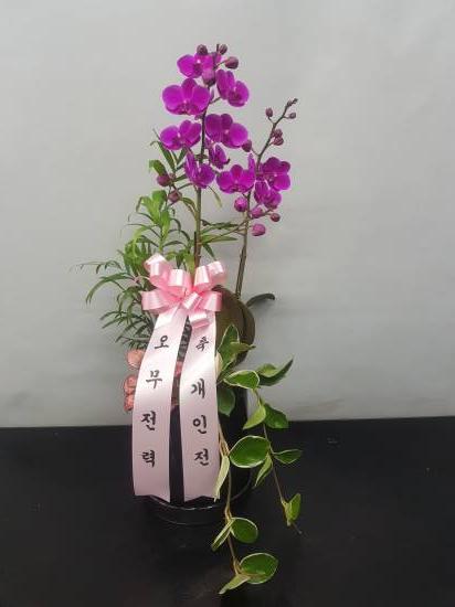 업로드 이미지