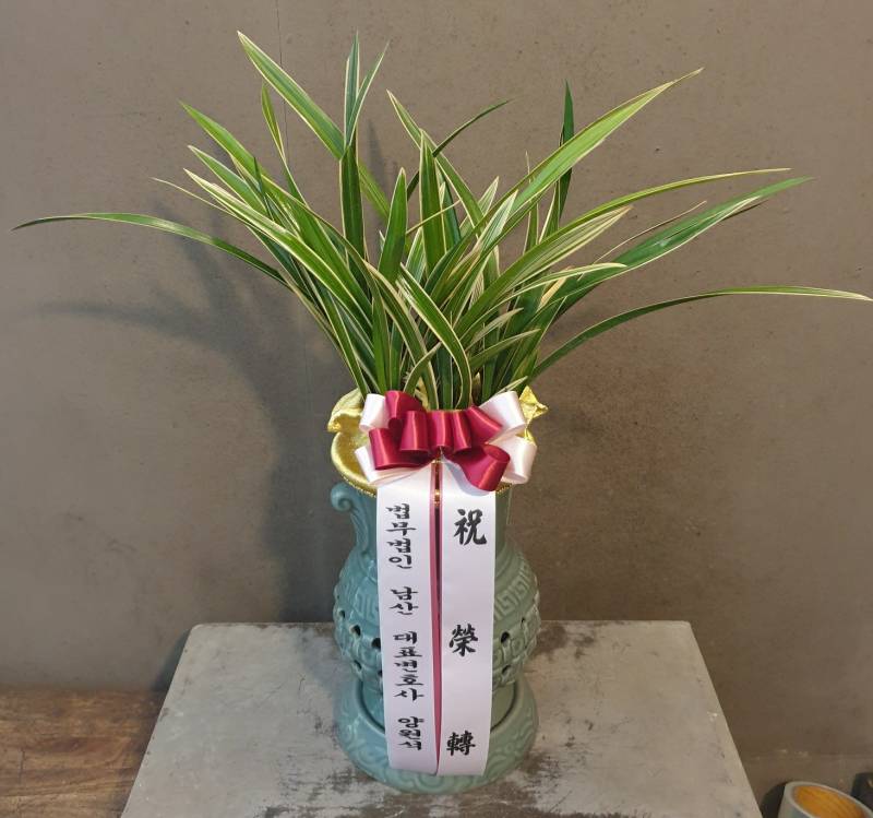 업로드 이미지