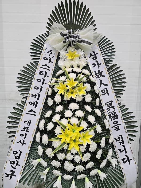 업로드 이미지